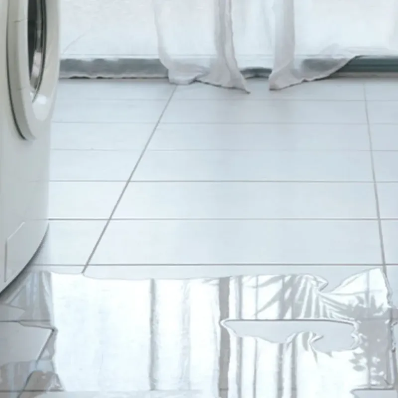 Appliance Leak Cleanup in Greenbriar, FL