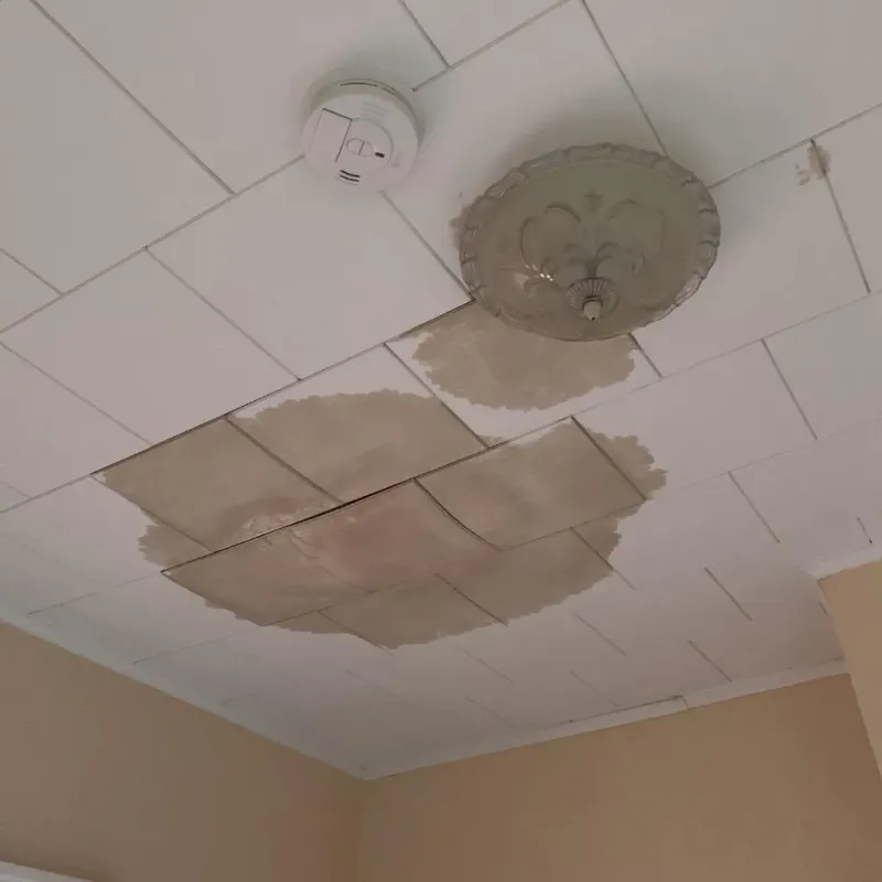 Ceiling Water Damage Repair in Greenbriar, FL